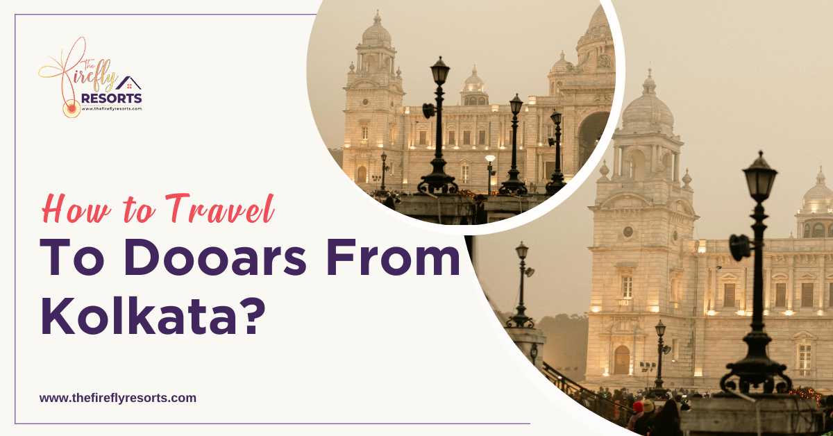 How to Travel to Dooars from Kolkata?