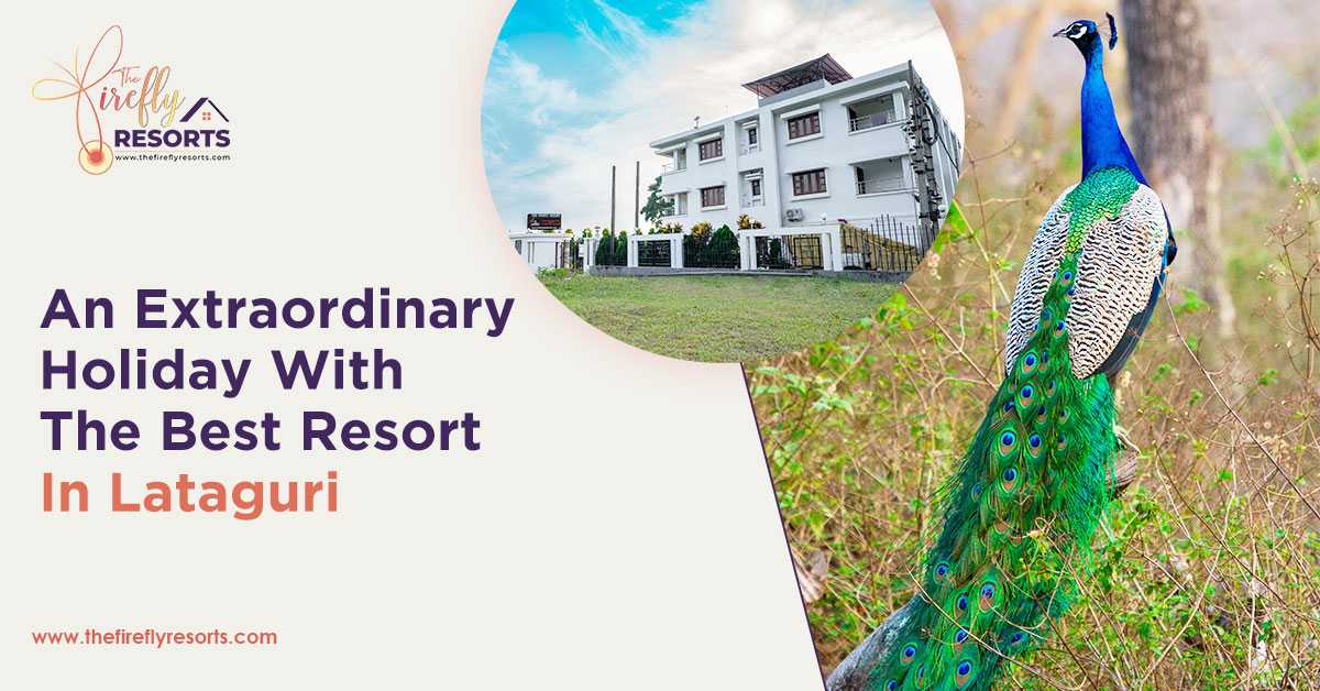 An Extraordinary Holiday With The Best Resort In Lataguri