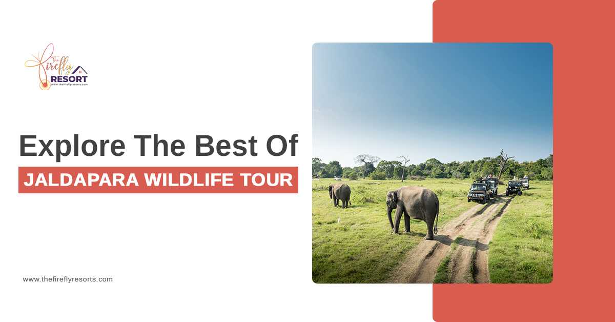Explore The Best Of Jaldapara Wildlife Tour