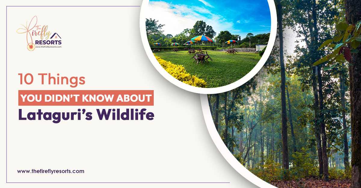 A stunning view of Lataguri's diverse wildlife at The Firefly Resort