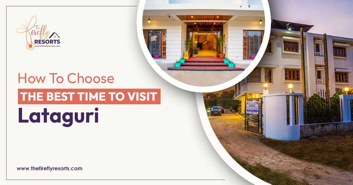 Scenic view of Lataguri, Dooars, showcasing the best times to visit.