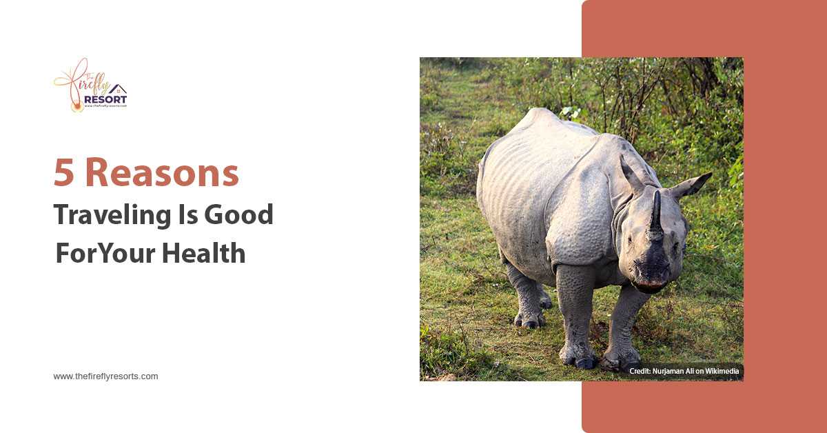 5 Reasons Why Traveling Lataguri Is Good For Your Health