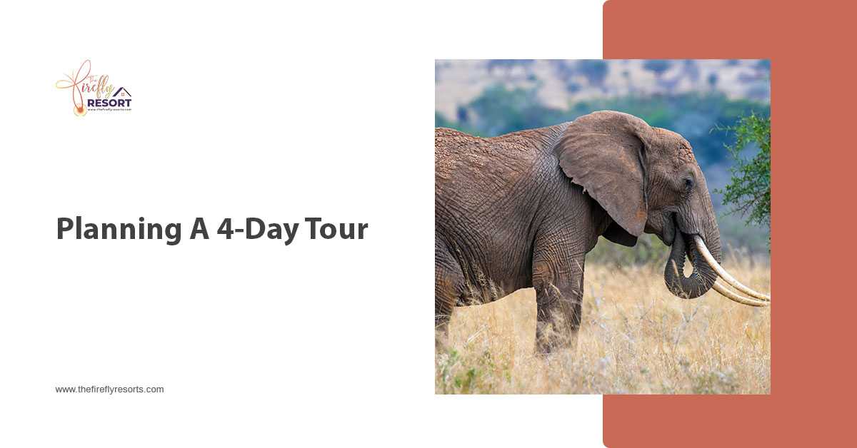 4-Day Lataguri Trip Planning – Here’s How