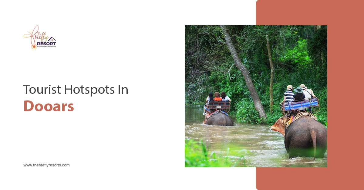 4 MustVisit Tourist Attractions In Dooars