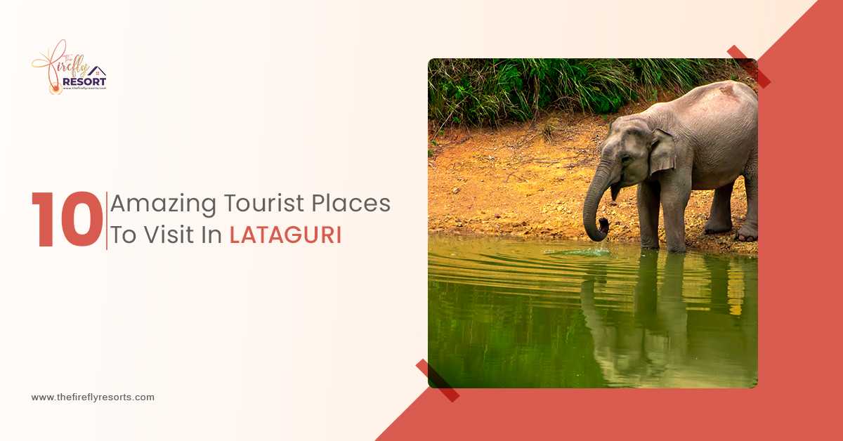 Top 10 Lataguri Tourist Attractions - The Firefly Resort