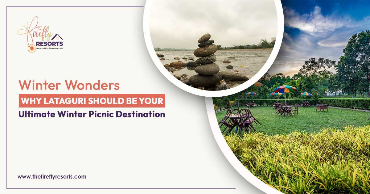 Winter Wonders: Why Lataguri Should Be Your Ultimate Winter Picnic Destination