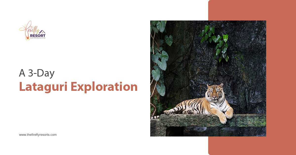 3-Day Lataguri Wildlife Tour Plan – Let’s Map-Out