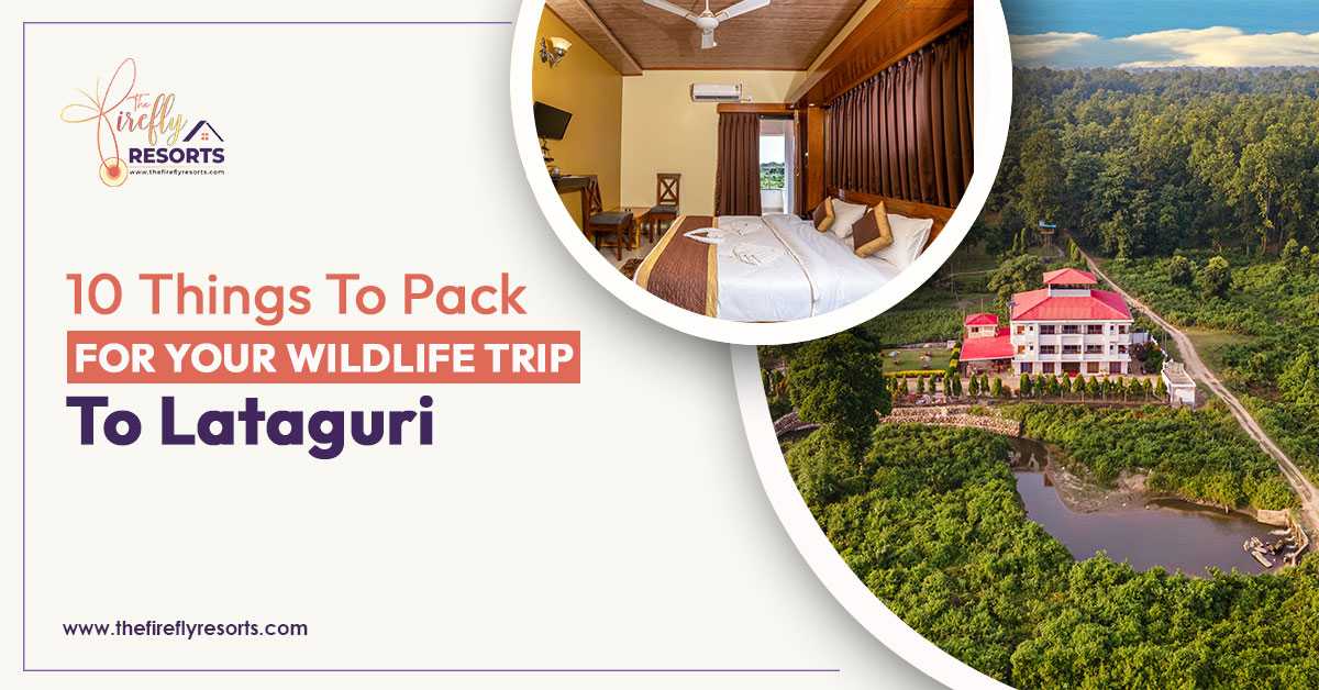 10 Things To Pack For Your Wildlife Trip To Lataguri