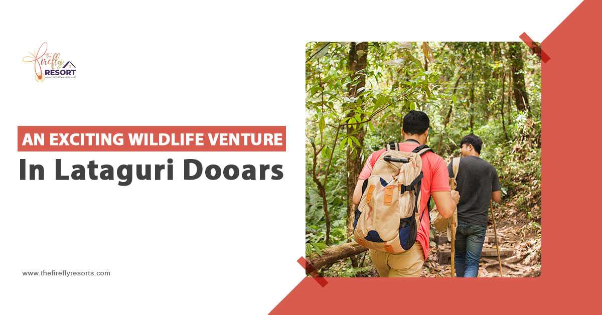 Dooars Lataguri Resort