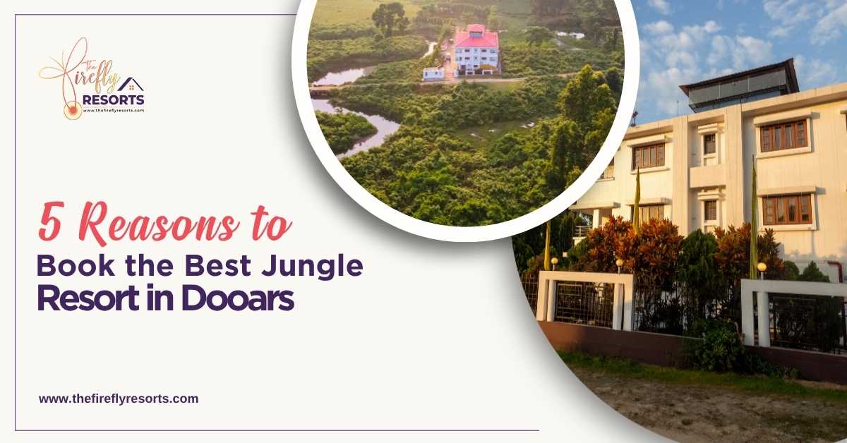 5 Reasons to Book the Best Jungle Resort in Dooars