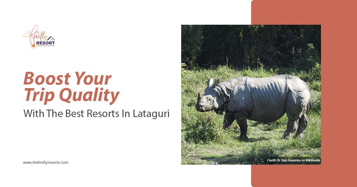 Boost Your Trip Quality With The Best Resorts In Lataguri