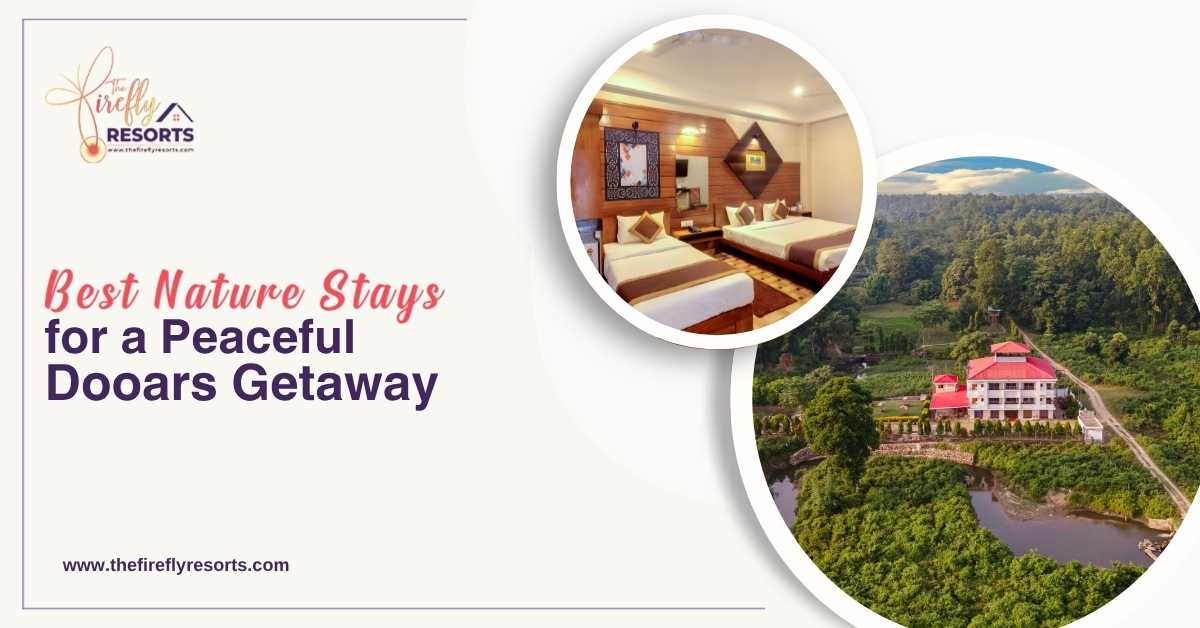 Best Nature Stays for a Peaceful Dooars Getaway