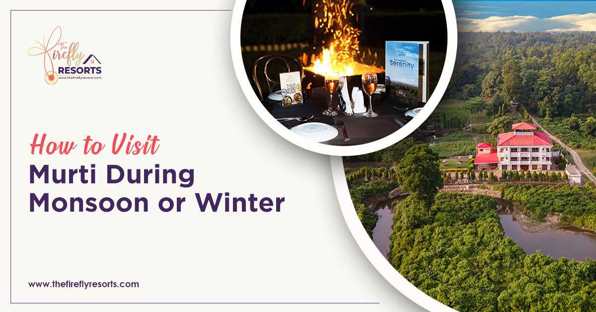 How to Visit Murti During Monsoon or Winter?