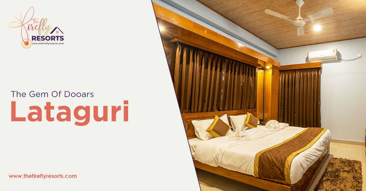 The Gem Of Dooars Lataguri