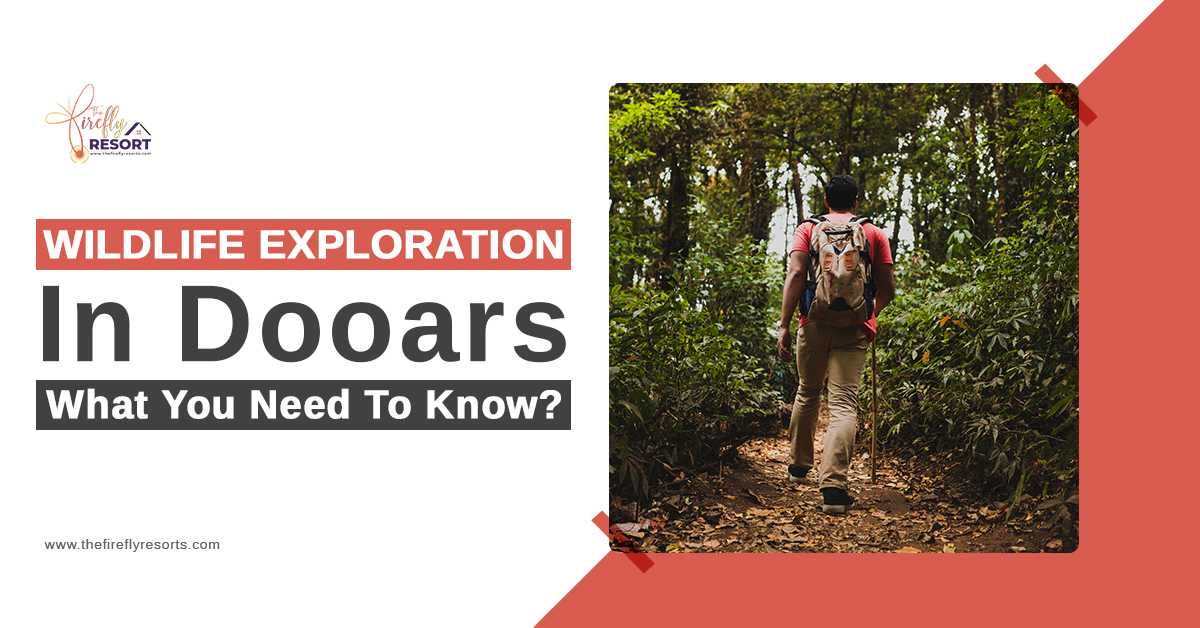 Wildlife Exploration In Dooars – What You Need To Know