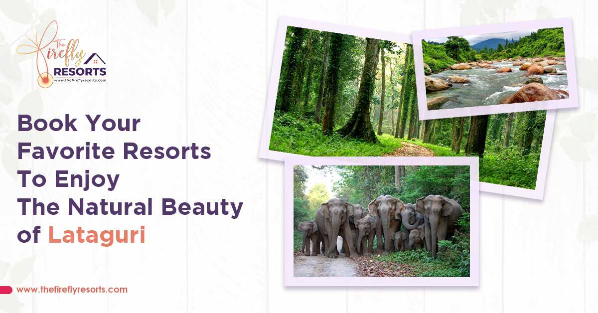 Book Your Favorite Resorts To Enjoy The Natural Beauty Of Lataguri