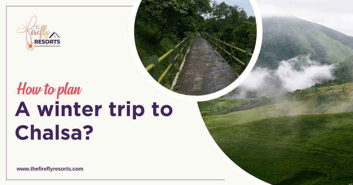 How to Plan a Winter Trip to Chalsa?