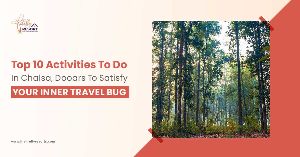 Top 10 Activities To Do In Chalsa, Dooars To Satisfy Your Inner Travel Bug