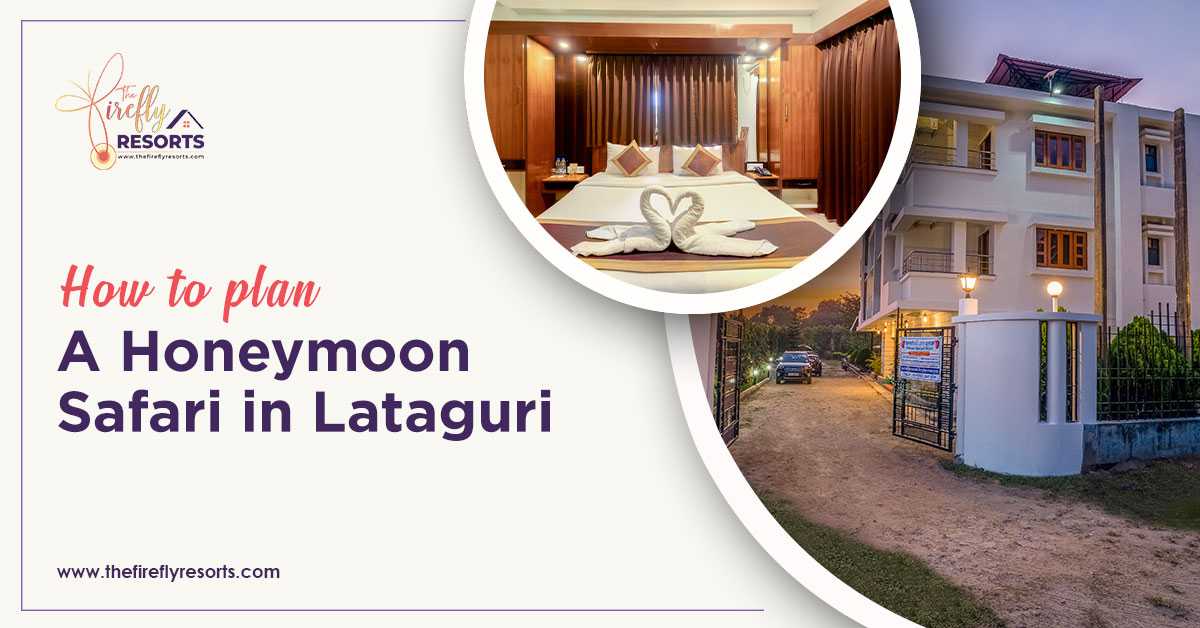 How to Plan a Honeymoon Safari in Lataguri