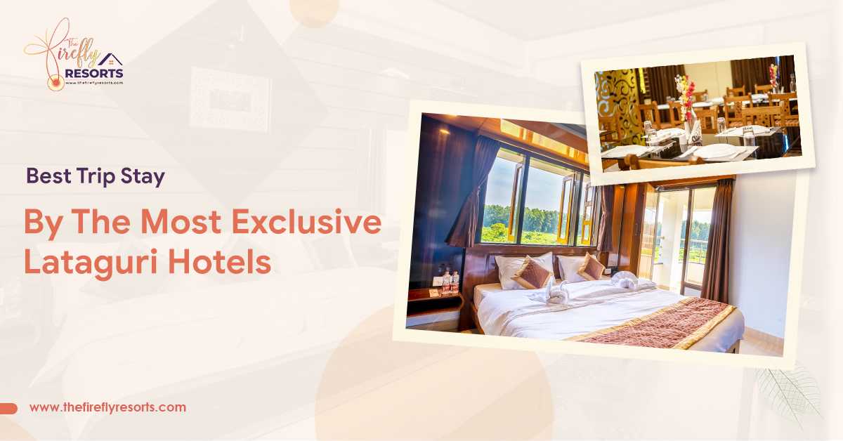 Best Trip Stay By The Most Exclusive Lataguri Hotels