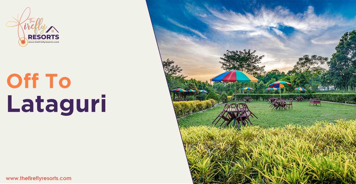 Lataguri Ensures A Stay Close To Nature