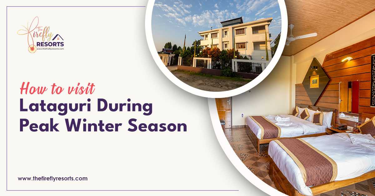 How To Visit Lataguri During Peak Winter Season?