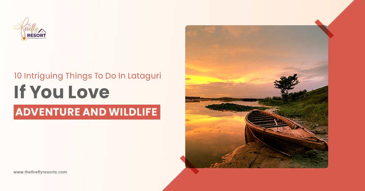 10 Intriguing Things To Do in Lataguri If You Love Adventure And Wildlife