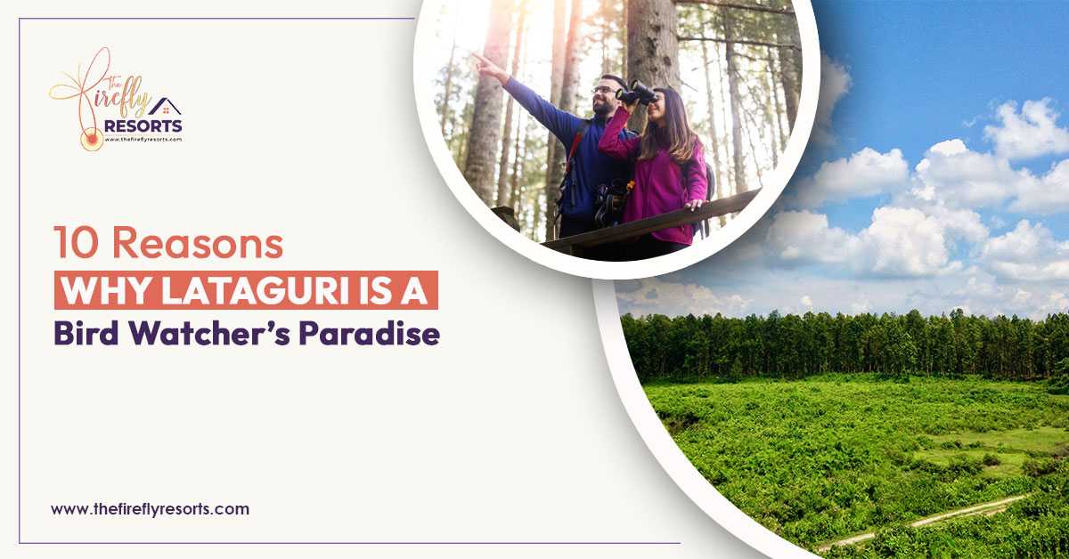 10 Reasons Why Lataguri is a Bird Watcher’s Paradise