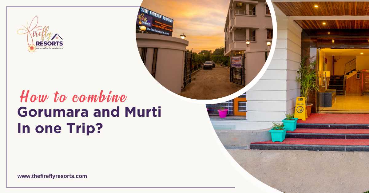 How to Combine Gorumara and Murti in One Trip?