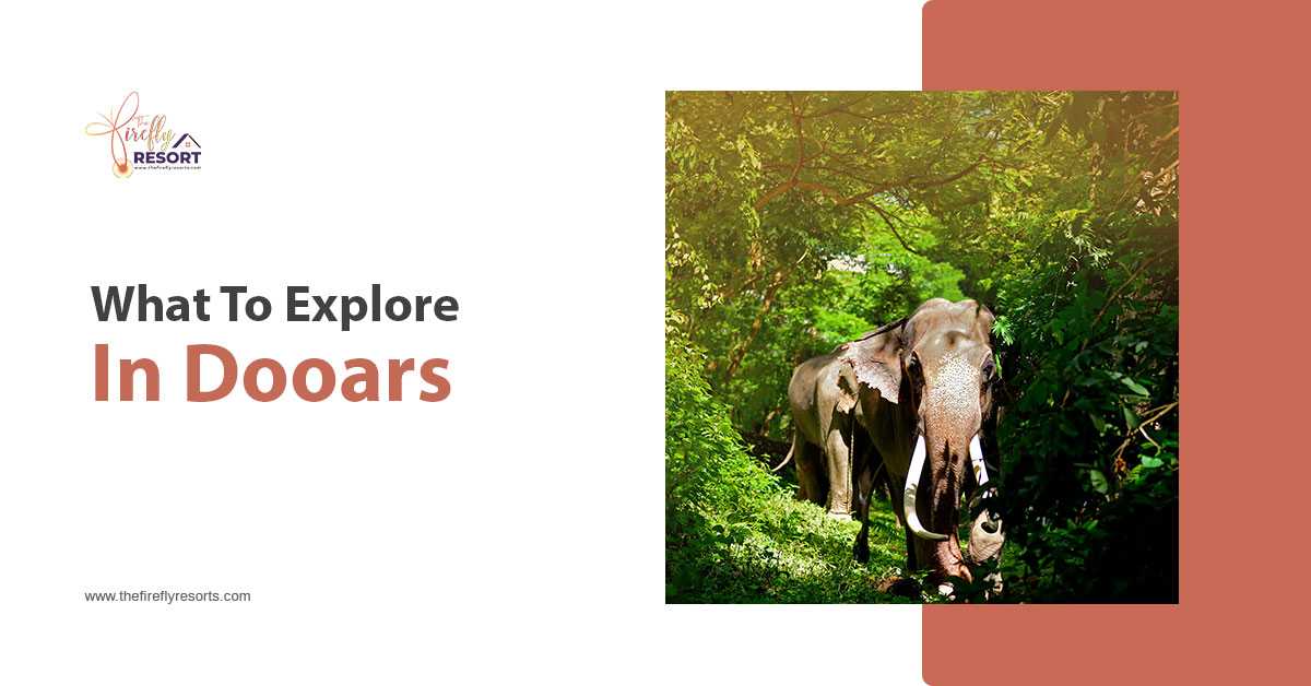 What Makes Dooars Famous