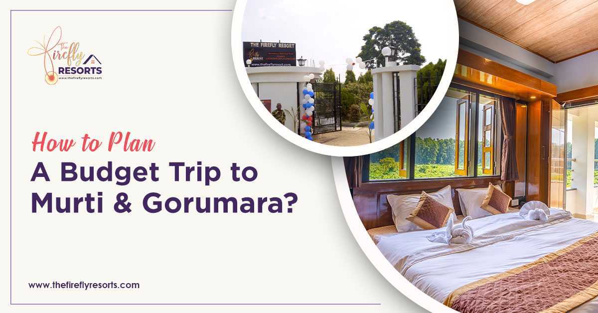 How To Plan a Budget Trip to Murti & Gorumara?