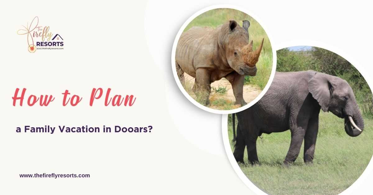 How to Plan a Family Vacation in Dooars?