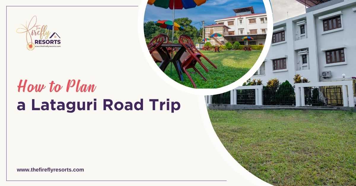 How to Plan a Lataguri Road Trip?