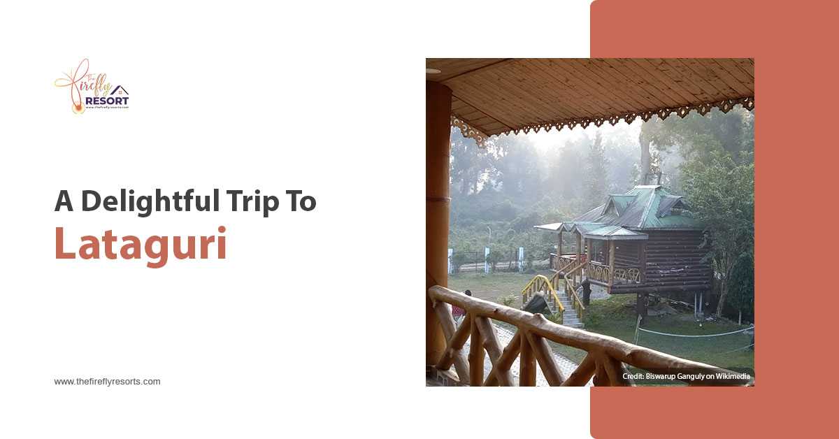 Enjoy A Great Comfort While Visit Lataguri