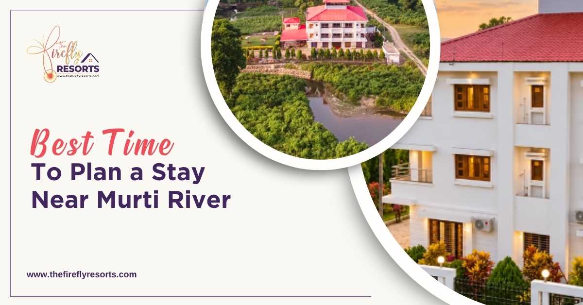Best Time to Plan a Stay Near Murti River