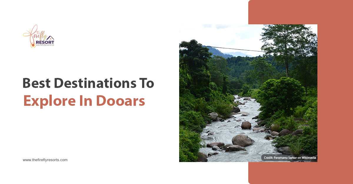 Best Destinations To Explore In Dooars