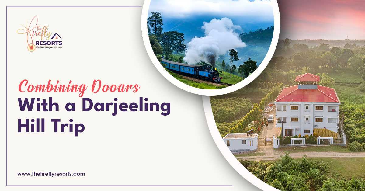 Combining Dooars With a Darjeeling Hill Trip