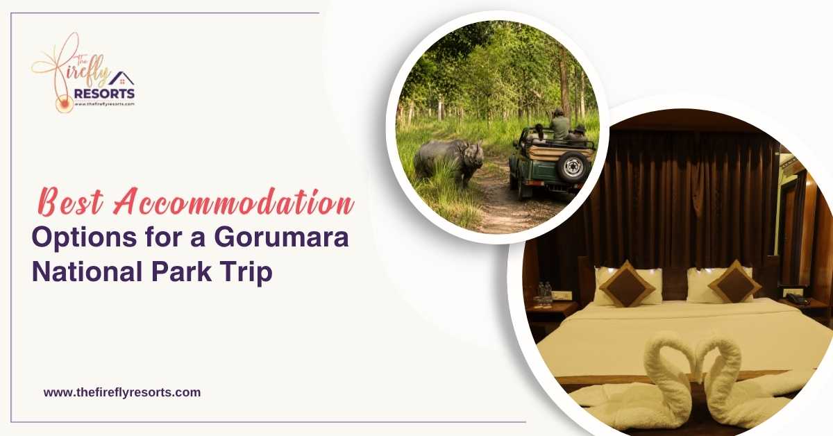 Best Accommodation Options for a Gorumara National Park Trip