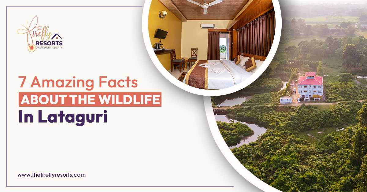 7 Amazing Facts About the Wildlife in Lataguri