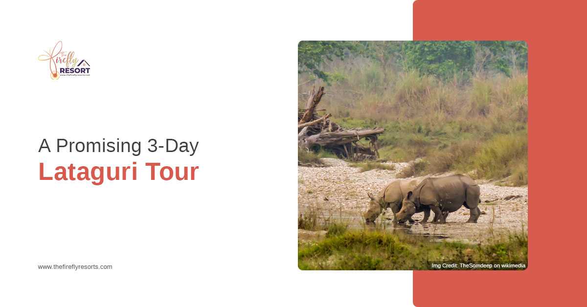 Let’s Map Out A 3-Day Lataguri Tour Plan