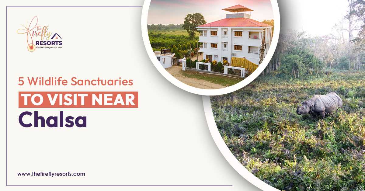 A view of the best wildlife sanctuaries near Chalsa from The Firefly Resort