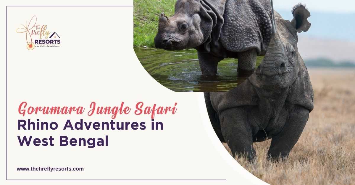 Gorumara Jungle Safari: Rhino Adventures in West Bengal
