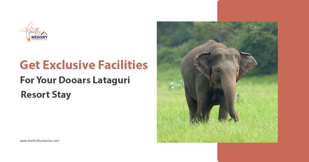 Call Us For Book The Best Dooars Lataguri Resort At Affordable Price