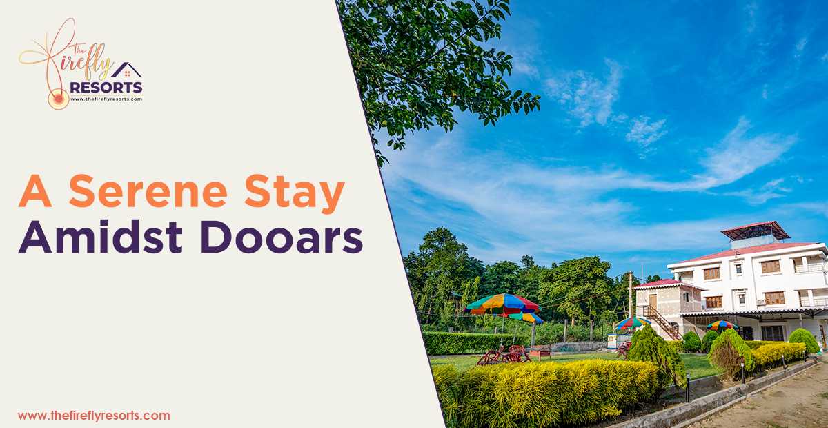 Enjoy Staying In A Jungle Hotel