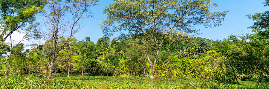 Jhalong Bird Watching Excursion