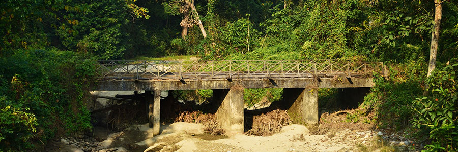 Flora and Fauna Discovery At Jaldapara