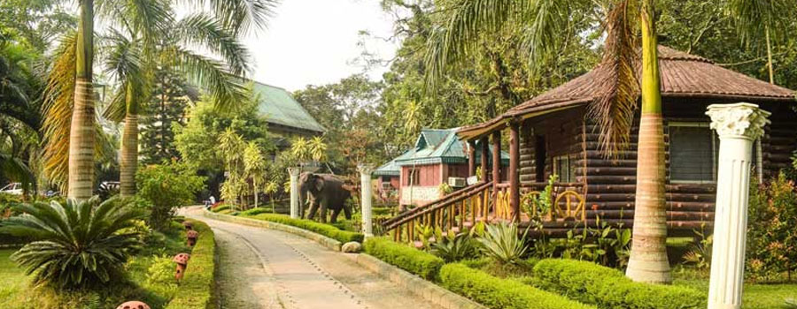 Hathihana The Green Castle