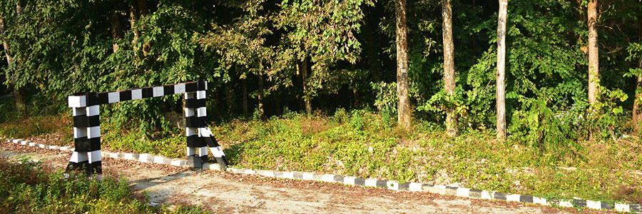 Jaldapara Wildlife Sanctuary Jaldapara Wildlife Sanctuary