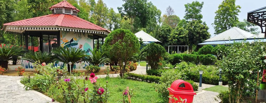Kadambini Jungle Resort