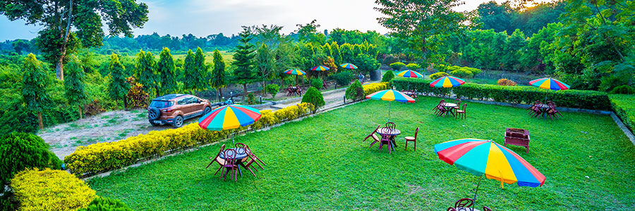 Best Lataguri Hotels Best Lataguri Hotels